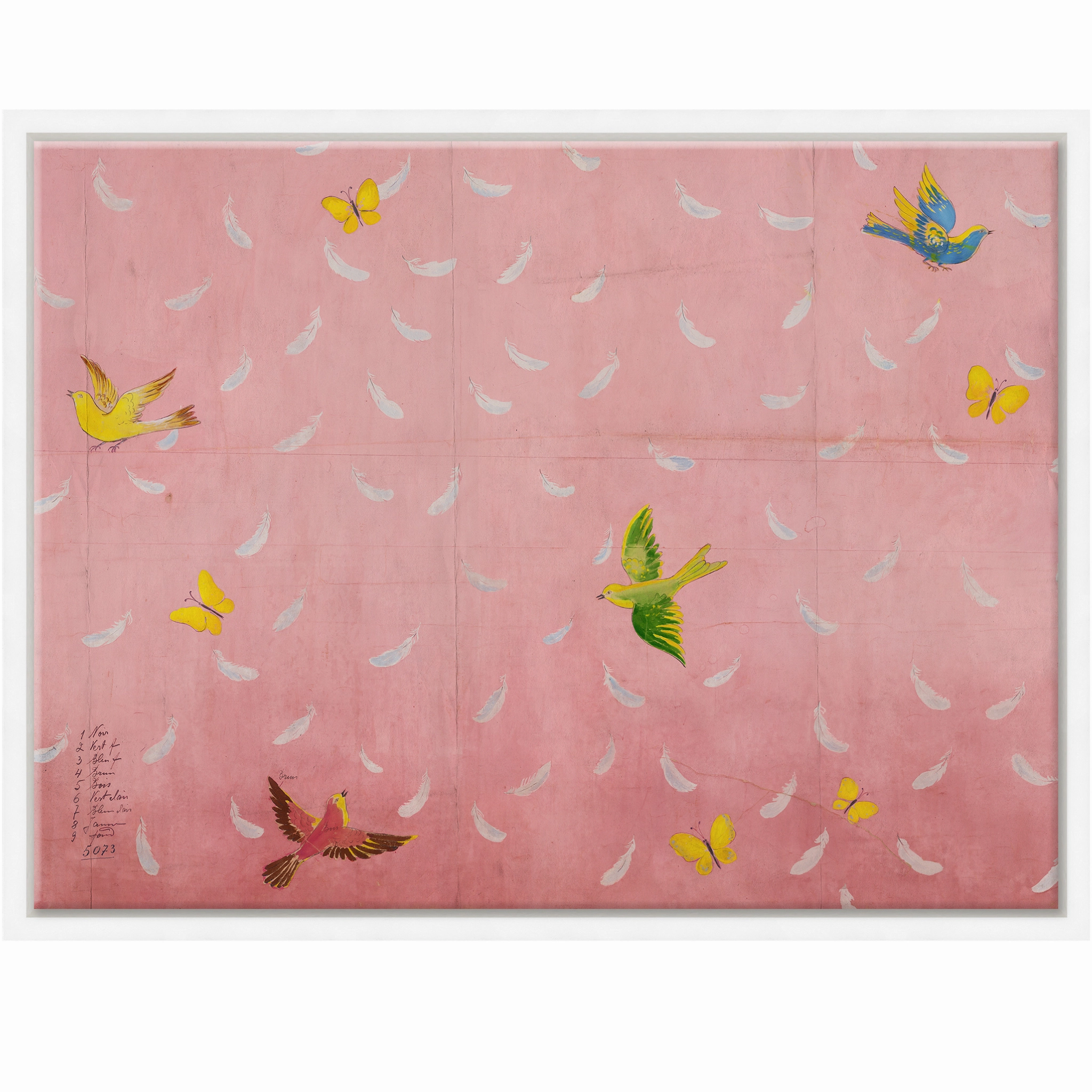 Paule Marrot Feathers