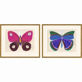 Paule Marrot Pink & Blue Butterflies (Var. 1) 