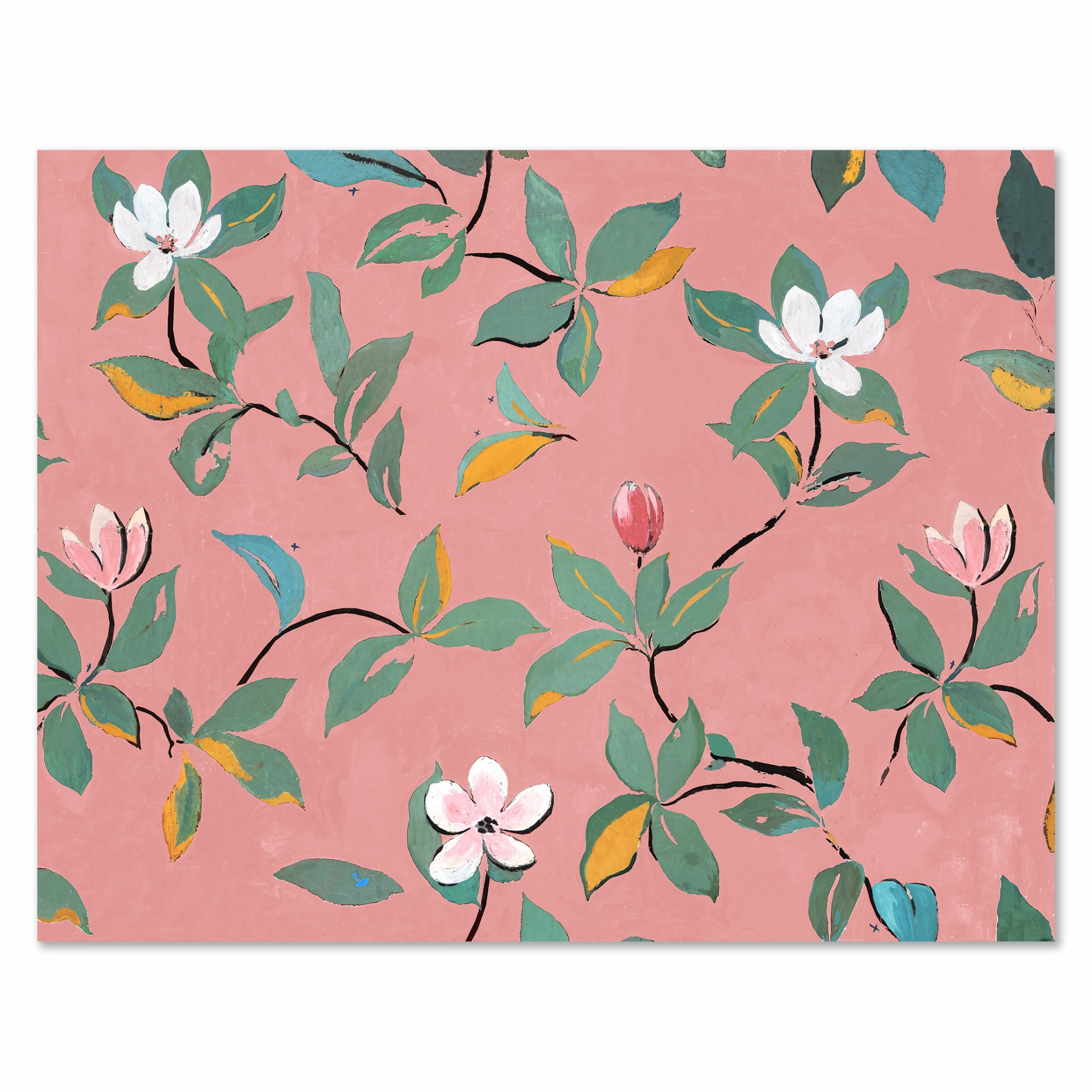Paule Marrot Pink Magnolia