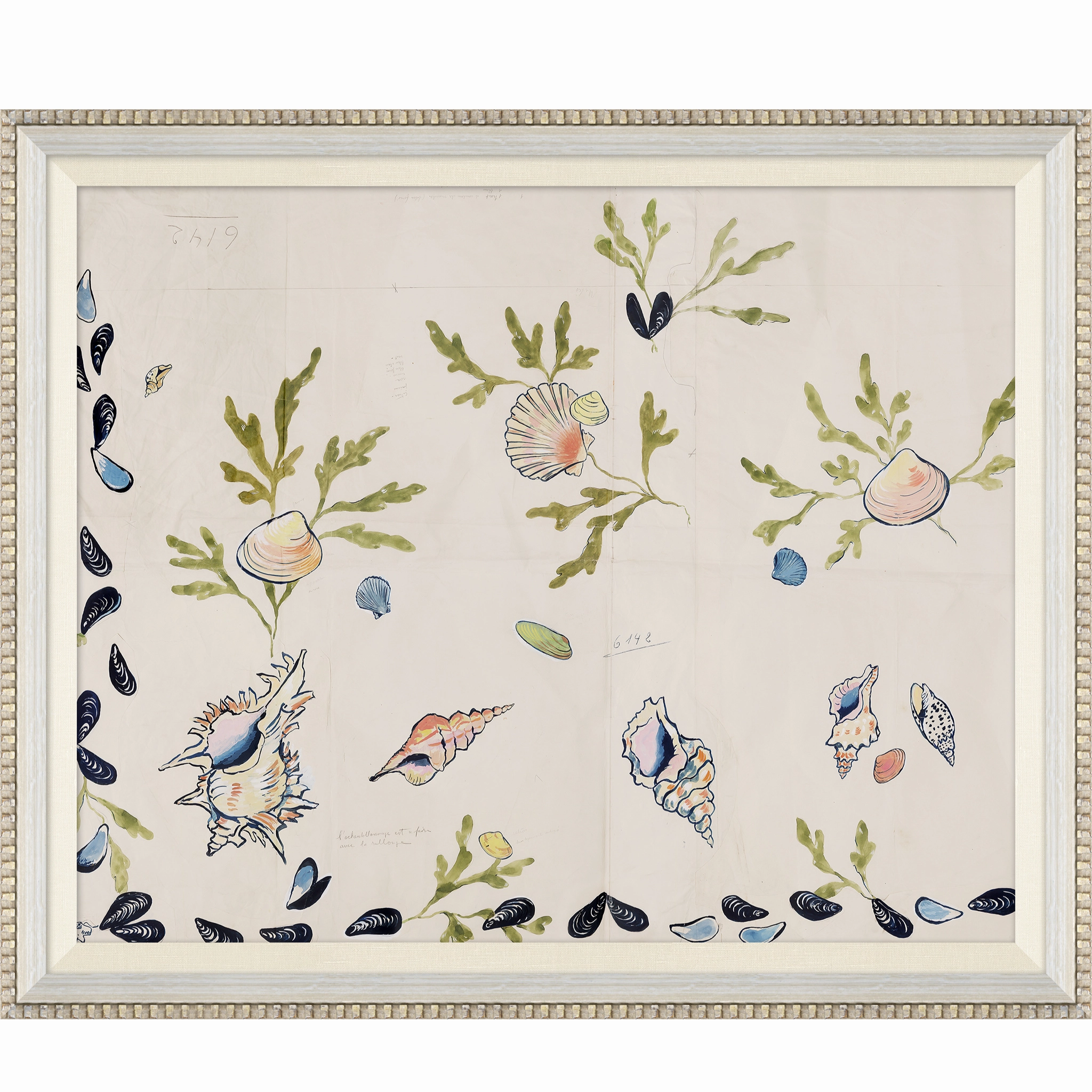 Paule Marrot Shell 2 