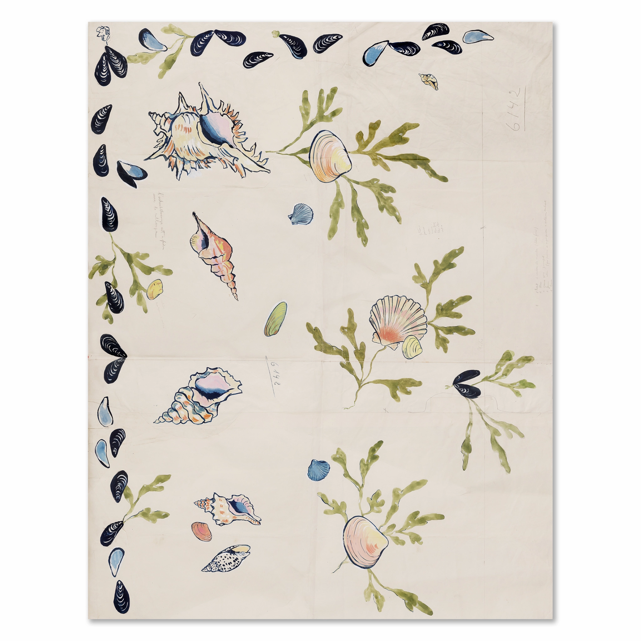 Paule Marrot Shell 2