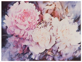 Peonies 
