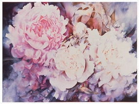 Peonies 
