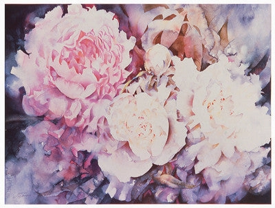 Peonies 