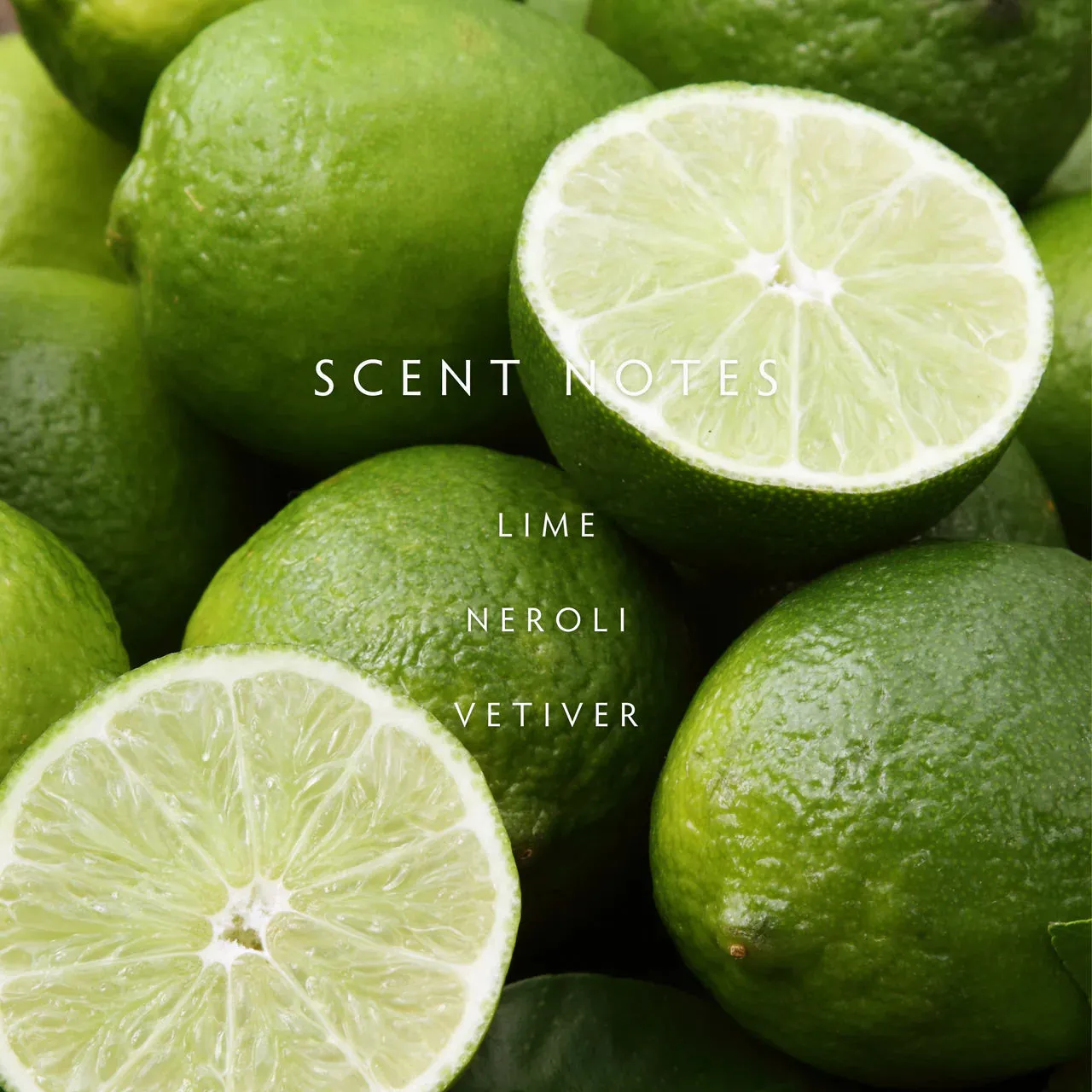 Persian Lime 2 Wick Candle