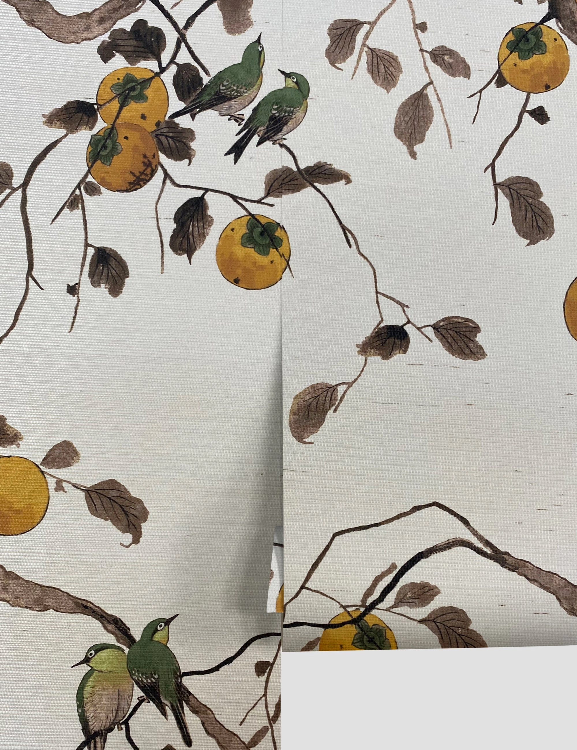 Persimmon Birds Grasscloth Wallpaper by Nathan Turner