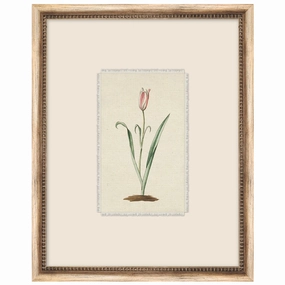 Petite Floral 1 Framed Wall Art 