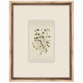 Petite Floral 2 Framed Wall Art 