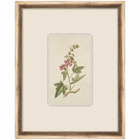 Petite Floral 3 Framed Wall Art 