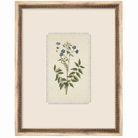 Petite Floral 4 Framed Wall Art 