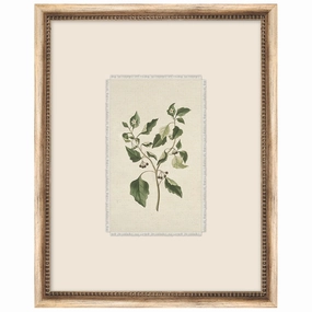 Petite Floral 5 Framed Wall Art 