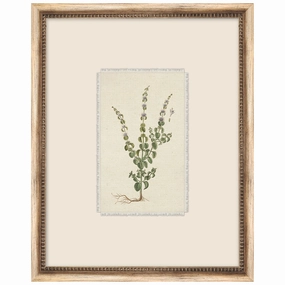 Petite Floral 6 Framed Wall Art 