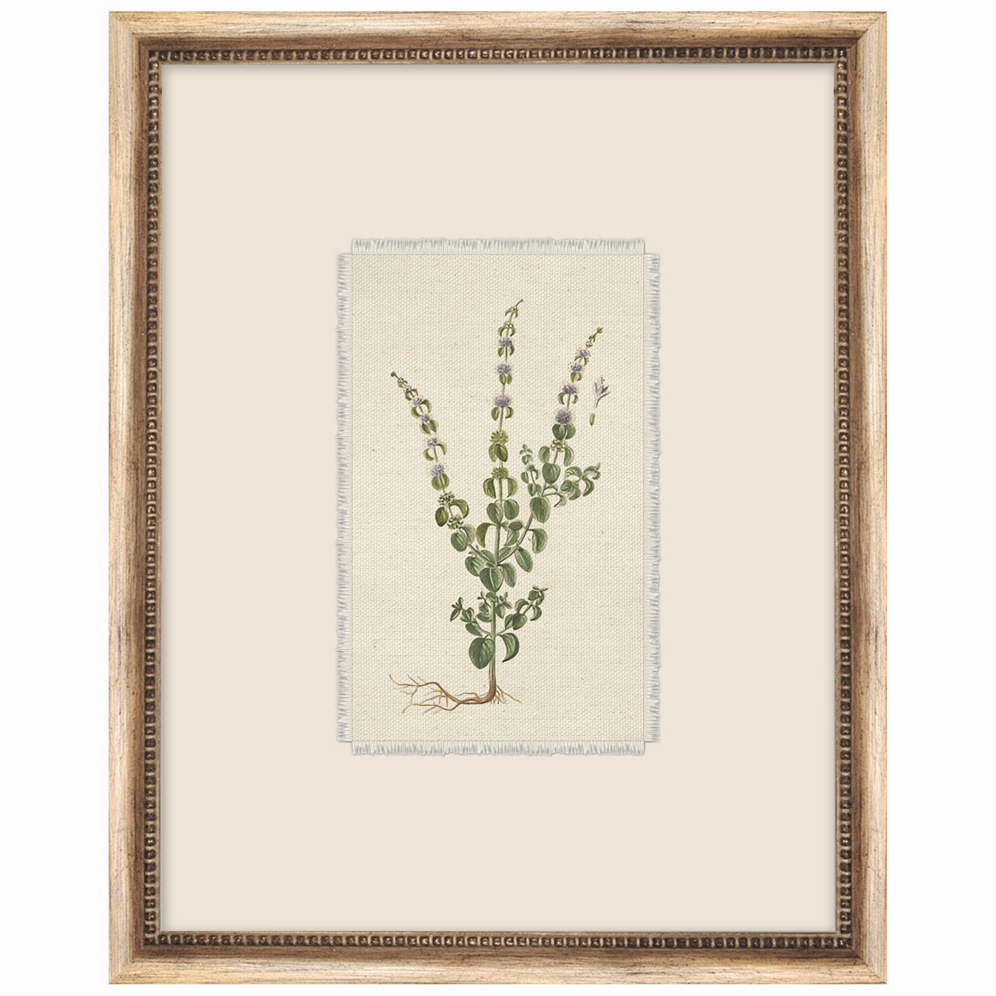 Petite Floral 6 Framed Wall Art 