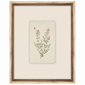 Petite Floral 7 Framed Wall Art 