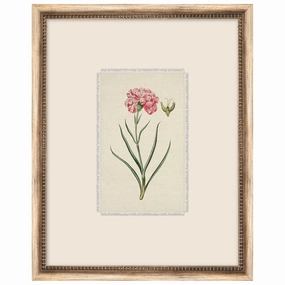 Petite Floral 8 Framed Wall Art 