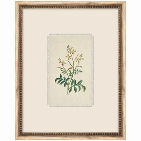 Petite Floral 9 Framed Wall Art 