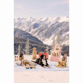 Picnic Party Vertical on the Top of Aspen Mountain Print by Gray Malin 