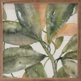 Plant Life Wood Framed Print 