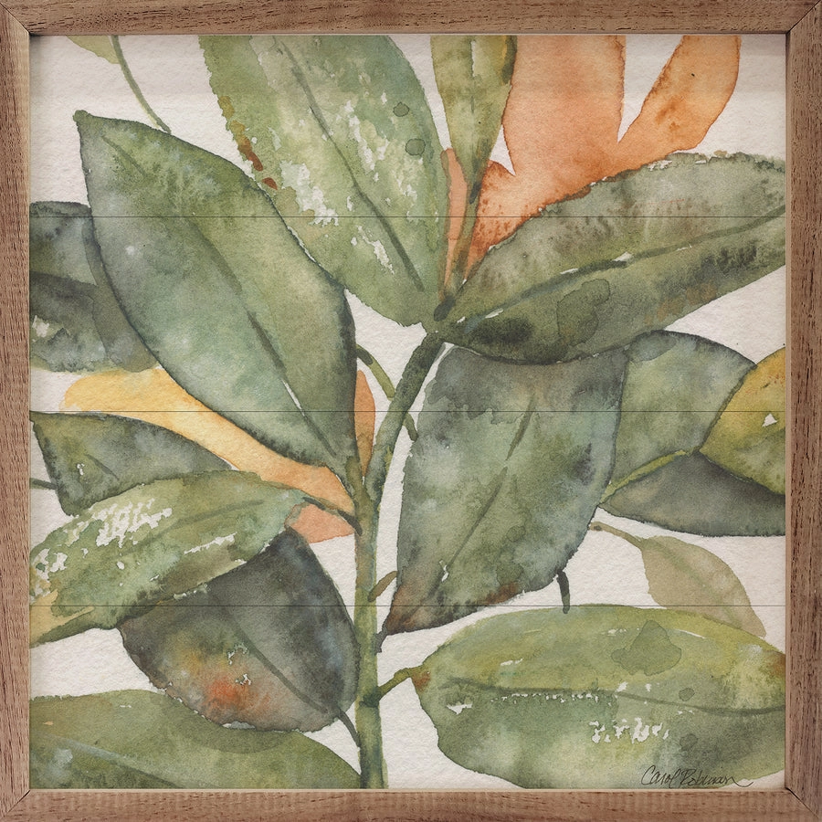 Plant Life Wood Framed Print
