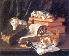 Playful Kittens 