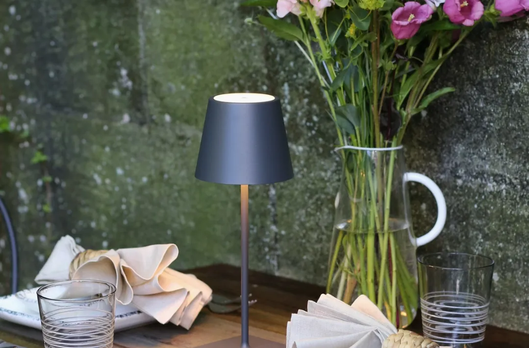 Poldina Pro Mini Cordless Lamp