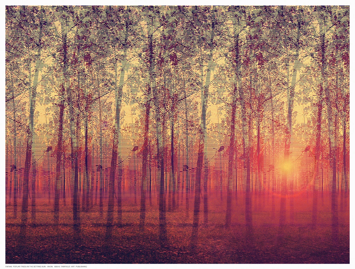 Poplar Trees in the Setting Sun 