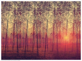 Poplar Trees in the Setting Sun 