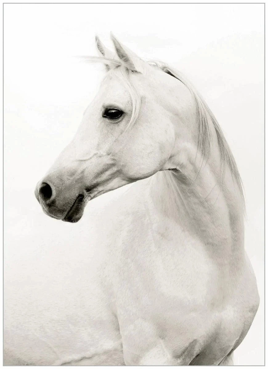 Portrait of Stallion Framed Wall Art 
