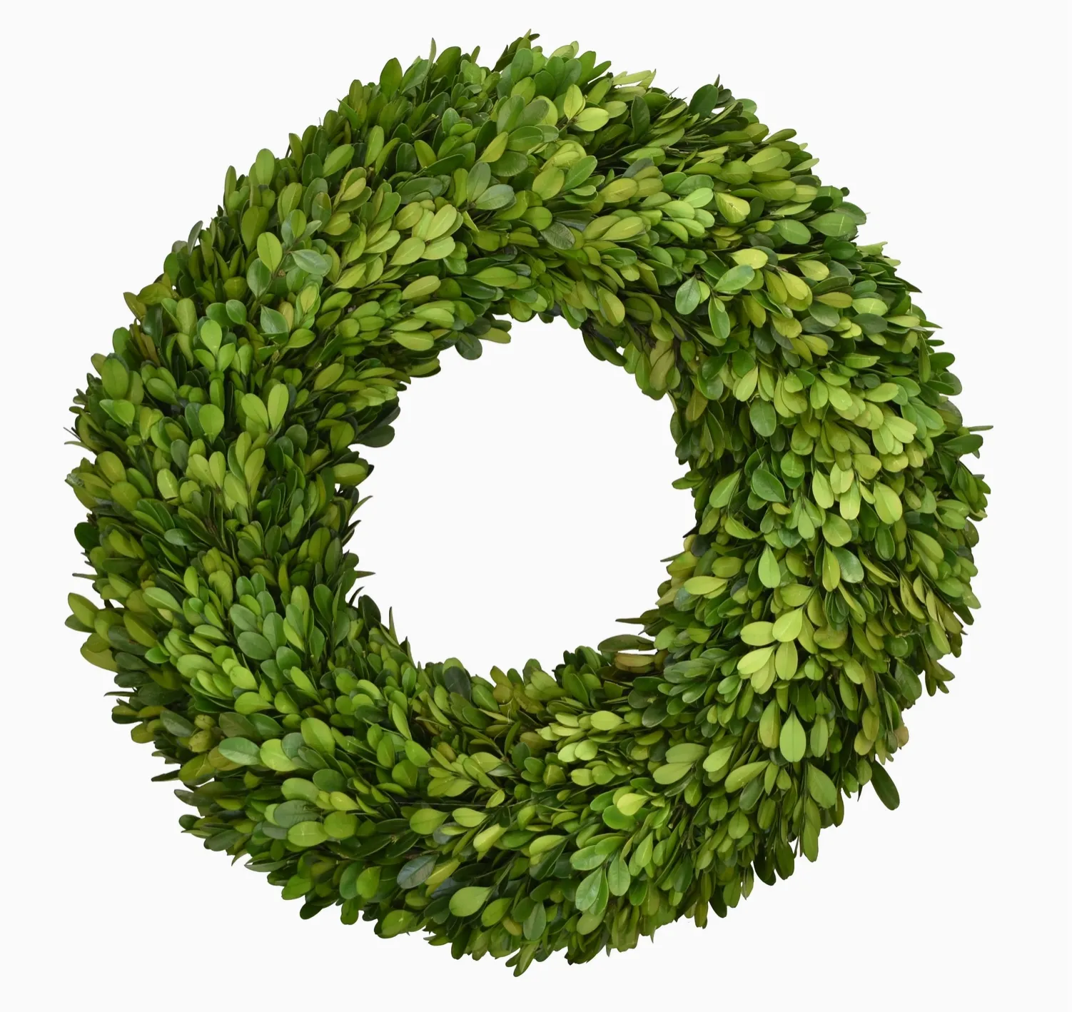 Preserved Boxwood Country Manor Wreath - 16 Inch