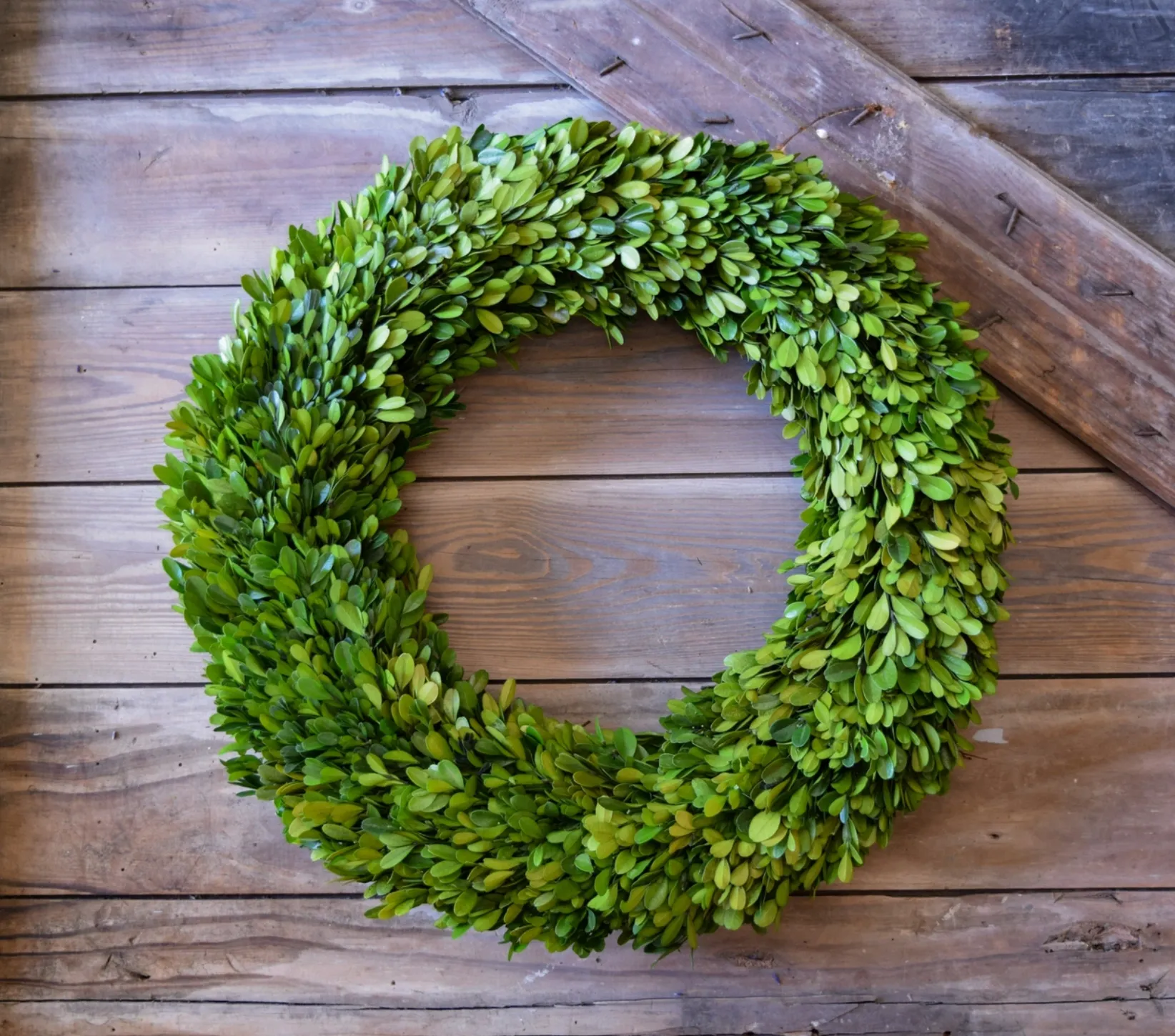 Preserved Boxwood Country Manor Wreath - 20 Inch 