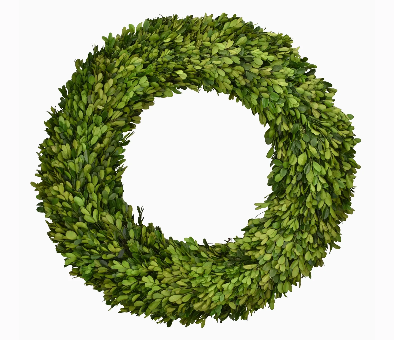 Preserved Boxwood Country Manor Wreath - 20 Inch
