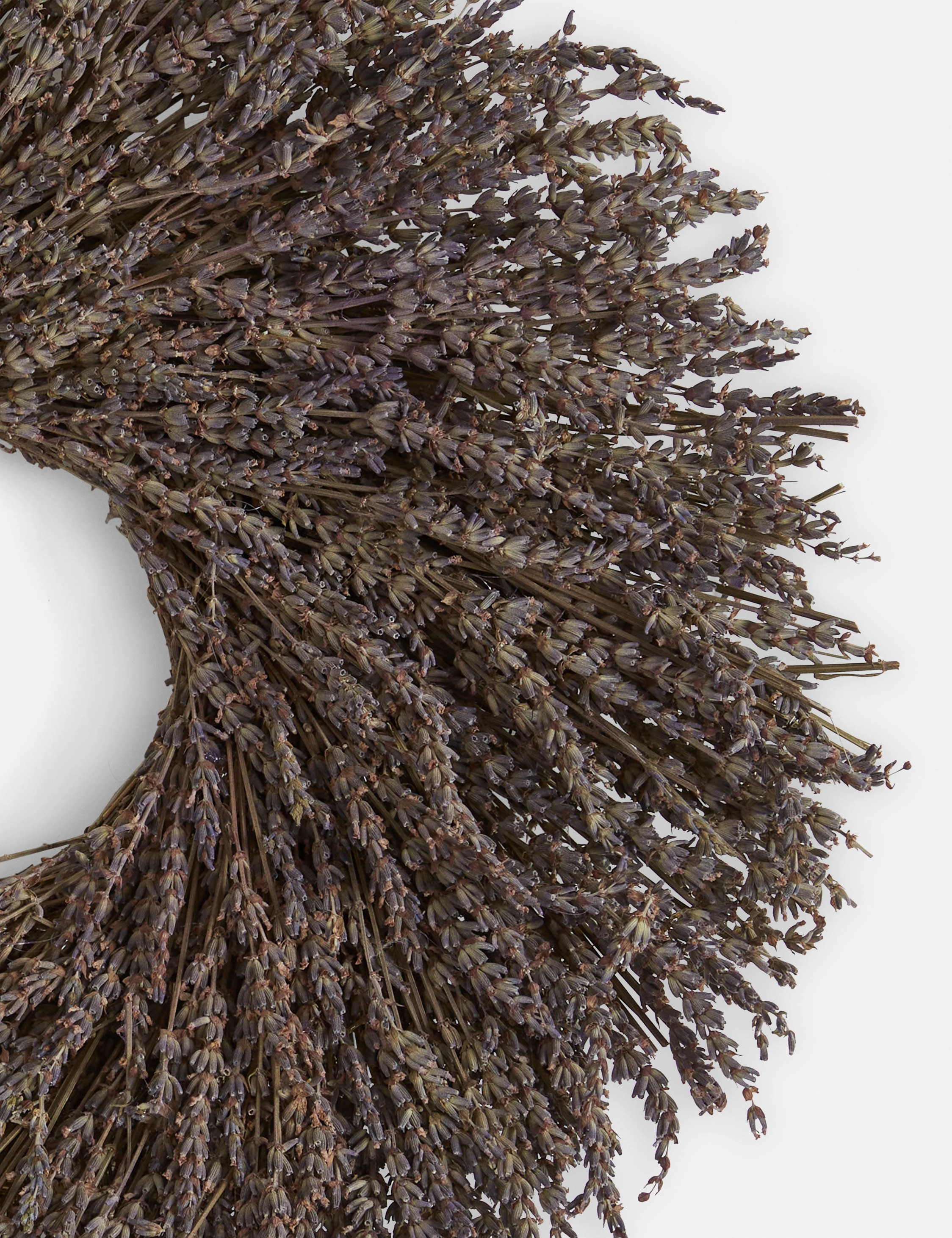 Preserved English Lavender Wreath