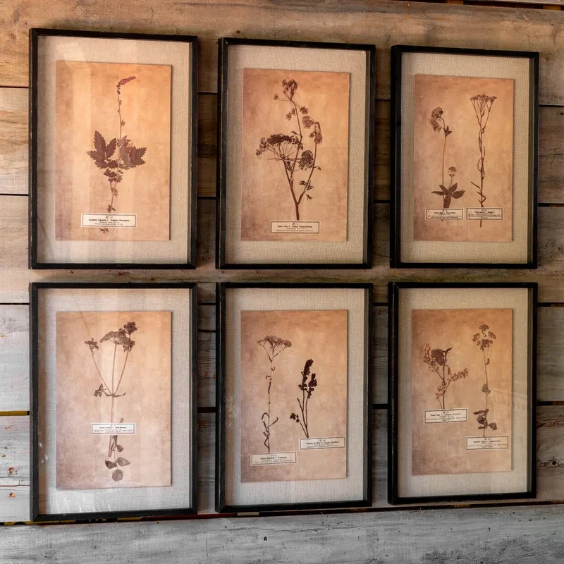 Pressed Botanical Prints Set 