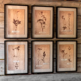 Pressed Botanical Prints Set 