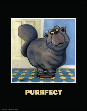 Purrfect 