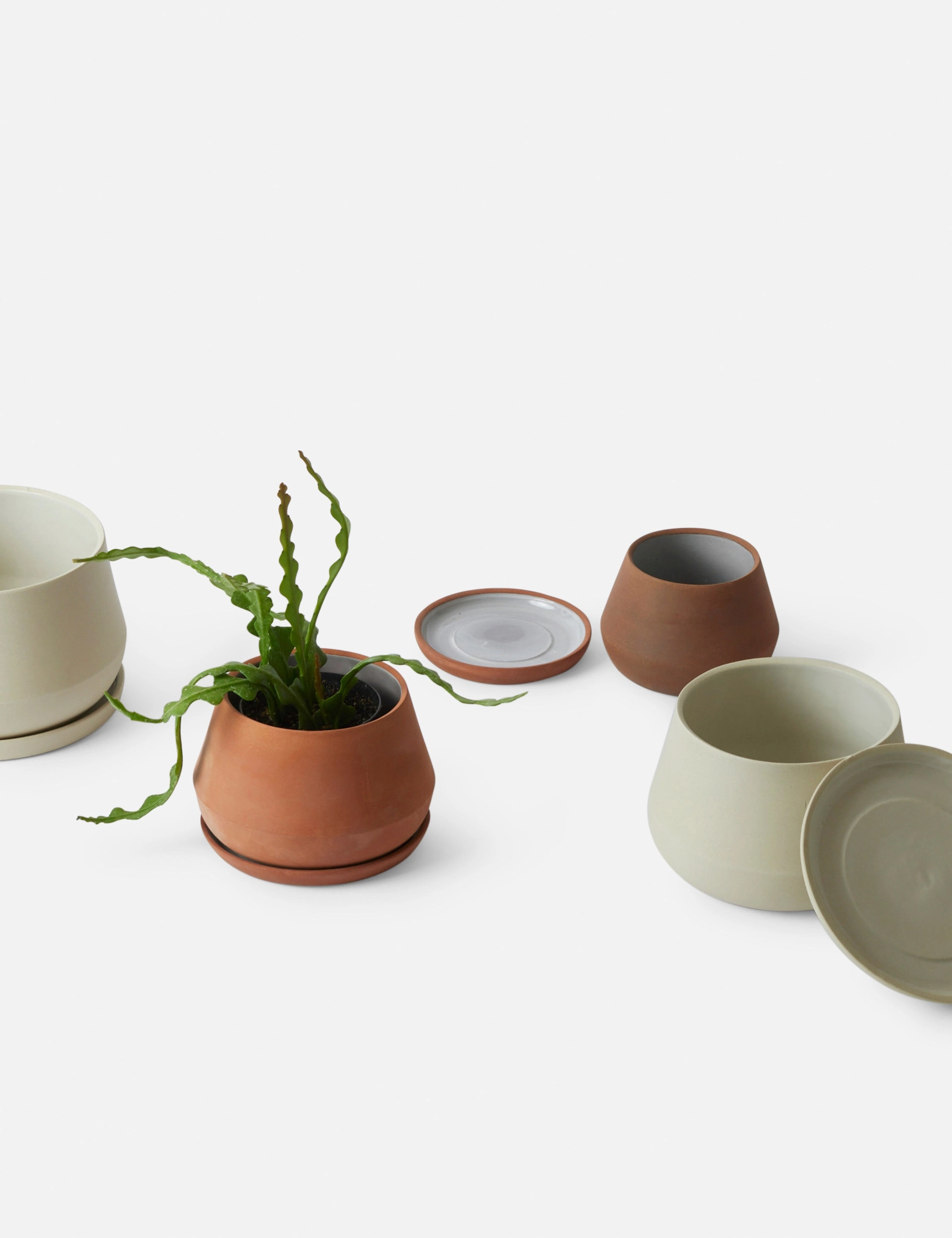Rancho Ceramic Indoor / Outdoor Planter by LBE Design