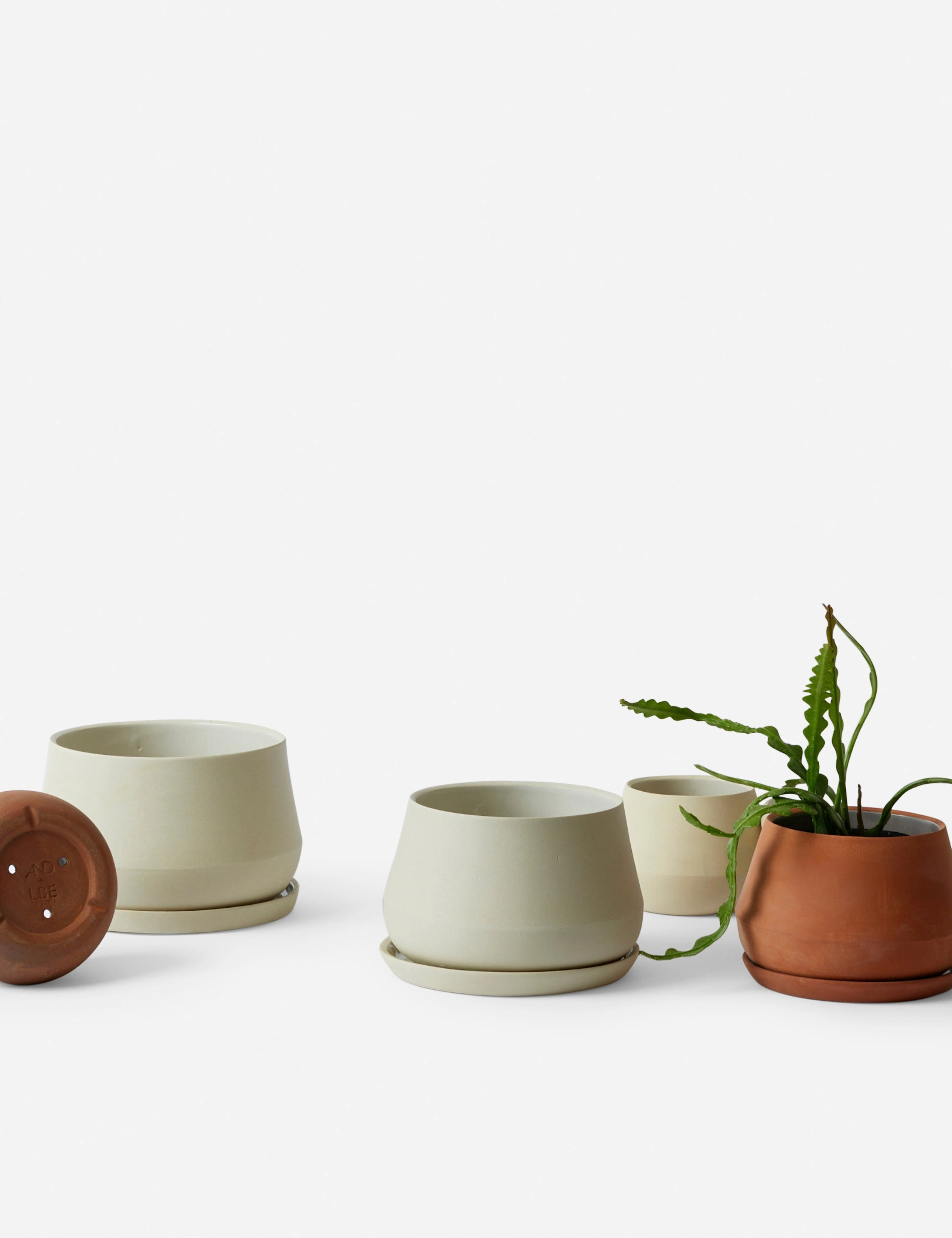 Rancho Ceramic Indoor / Outdoor Planter by LBE Design