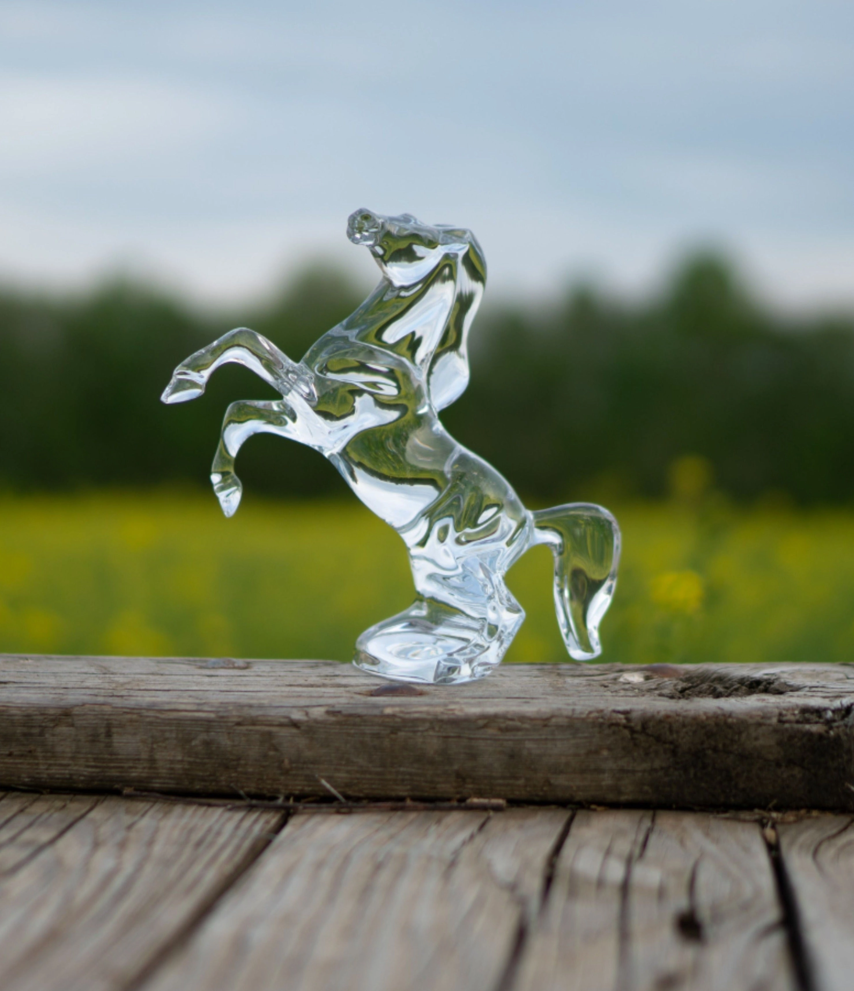 Rearing Horse