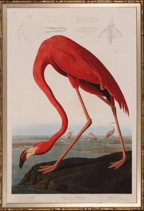 Red Flamingo Giclee Wall Art in Bamboo Inspired Frame 