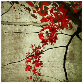 Red Kerala Blossoms 