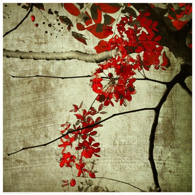 Red Kerala Blossoms 