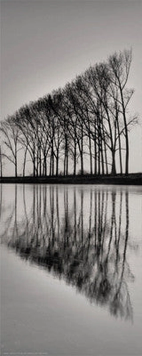 Reflections 