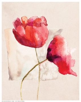 Retro Poppy Watercolor 