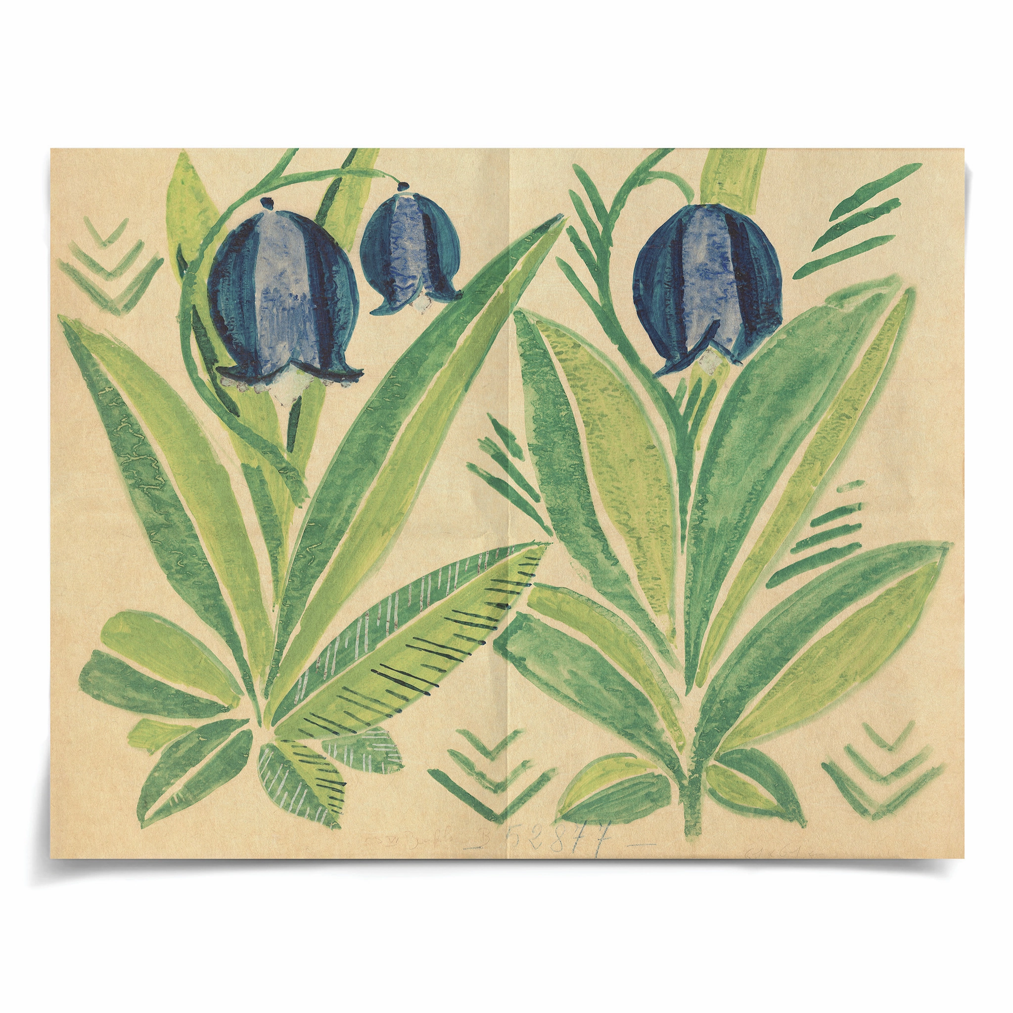 Robert Bonfils Archive, Flower Play