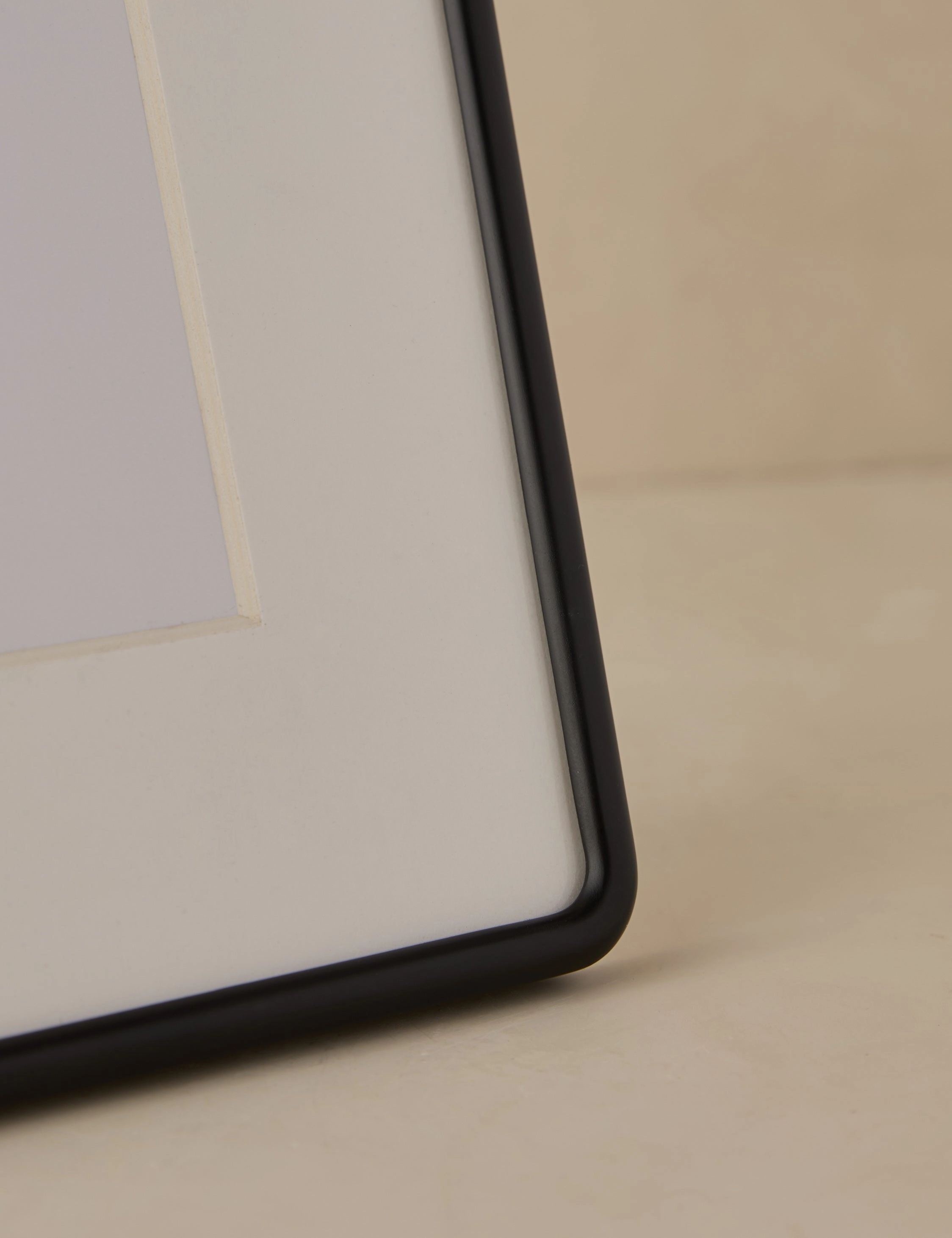 Rook Picture Frame by Sarah Sherman Samuel