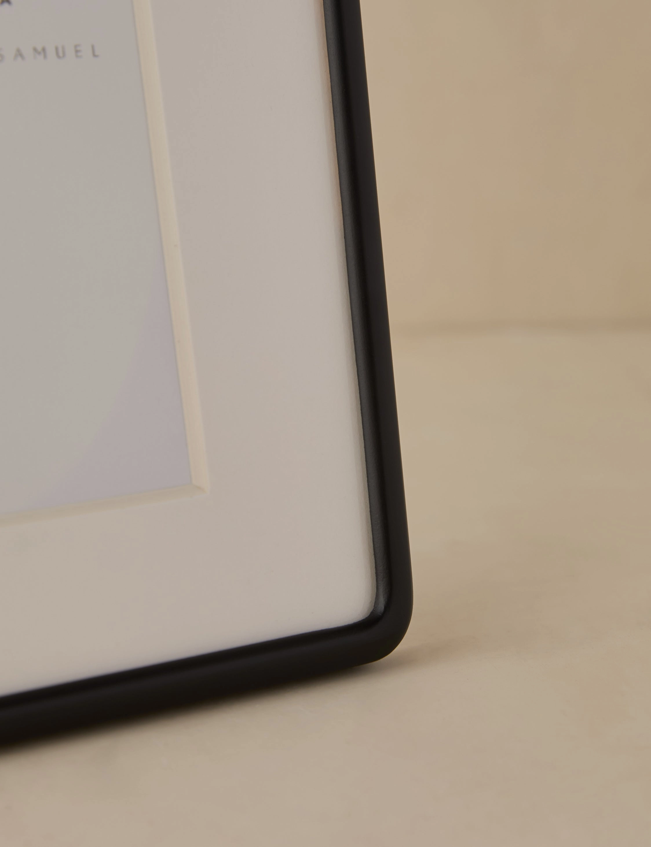 Rook Picture Frame by Sarah Sherman Samuel