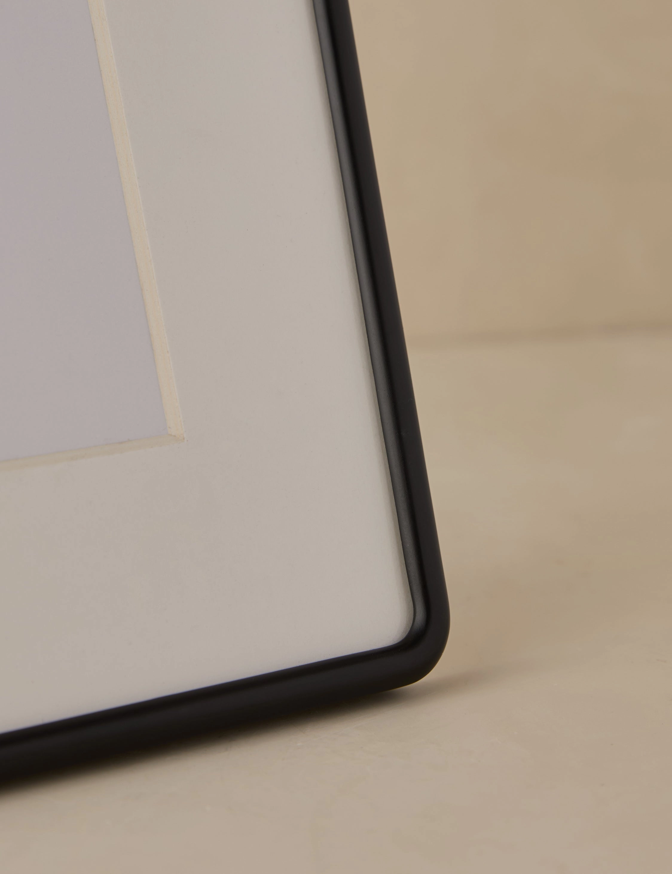 Rook Picture Frame by Sarah Sherman Samuel