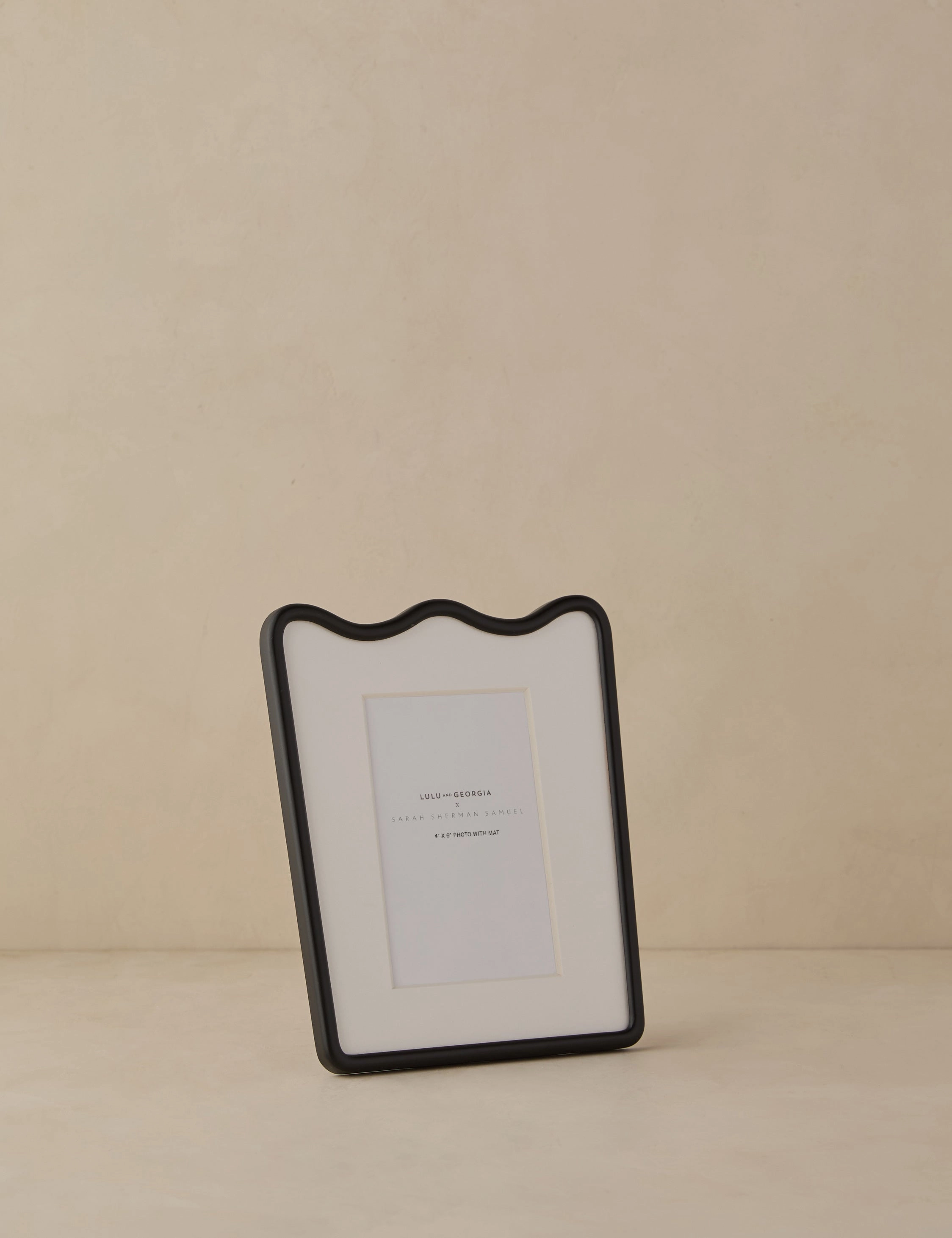 Rook Picture Frame by Sarah Sherman Samuel