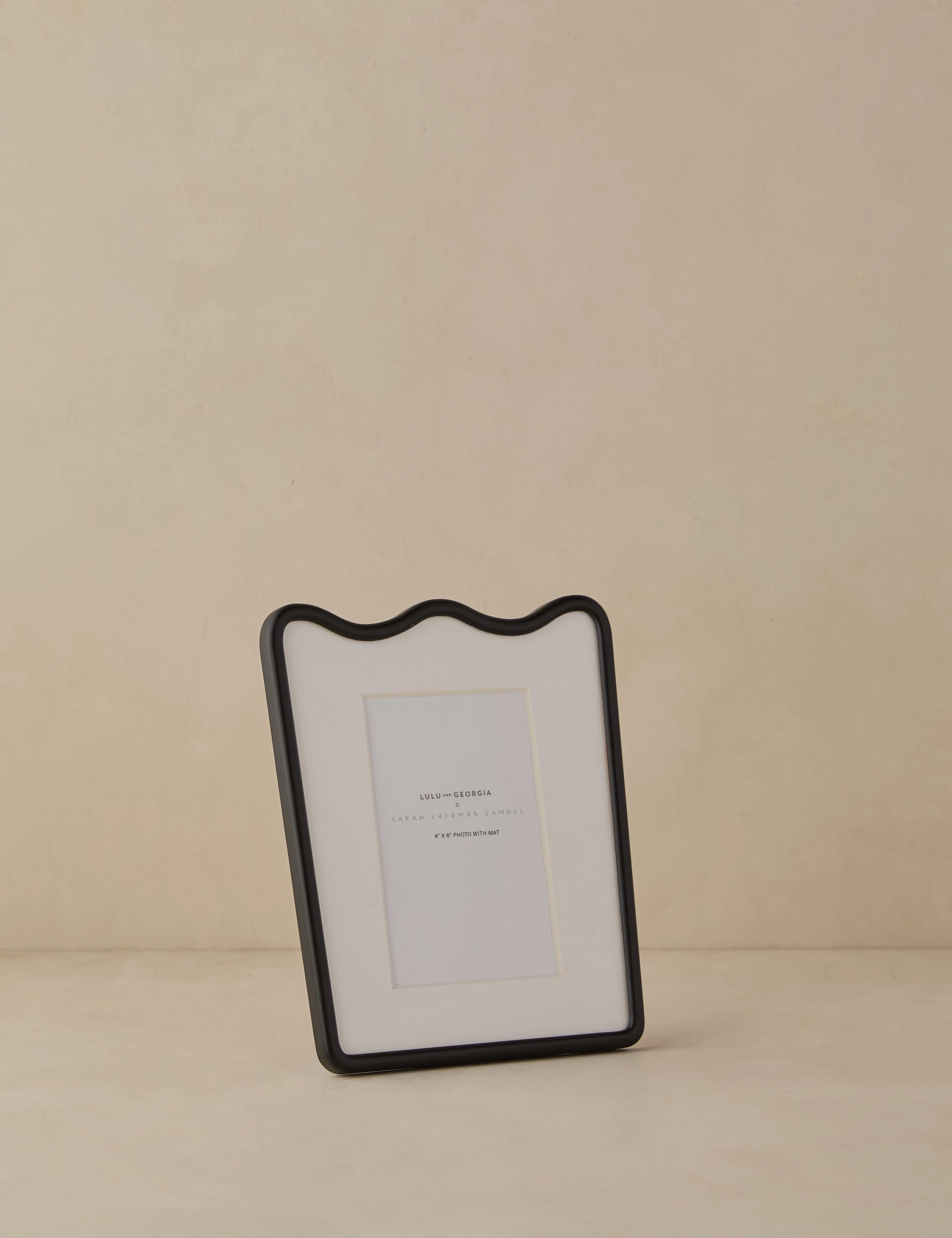 Rook Picture Frame by Sarah Sherman Samuel
