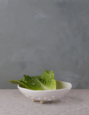 Rosaura Colander 